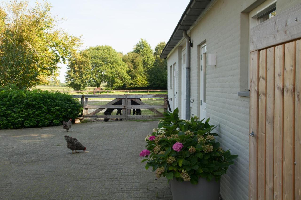 Het Rooversnest Riel Экстерьер фото